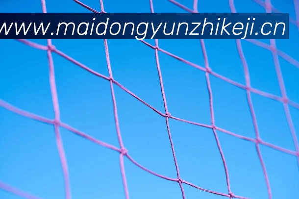 必一体育sport官网 - 必一(中国)APP 体育赛事宣传图